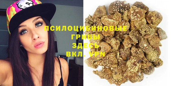 молекула духа Абинск