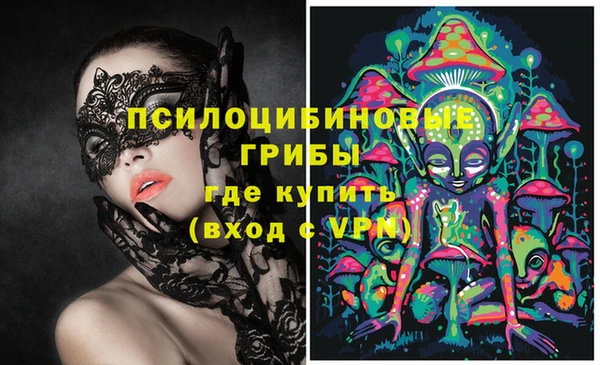 ПСИЛОЦИБИНОВЫЕ ГРИБЫ Абдулино