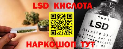 дживик Кимры