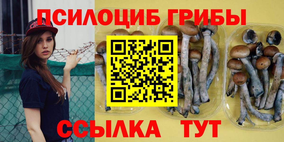 Псилоцибиновые грибы Magic Shrooms Костомукша