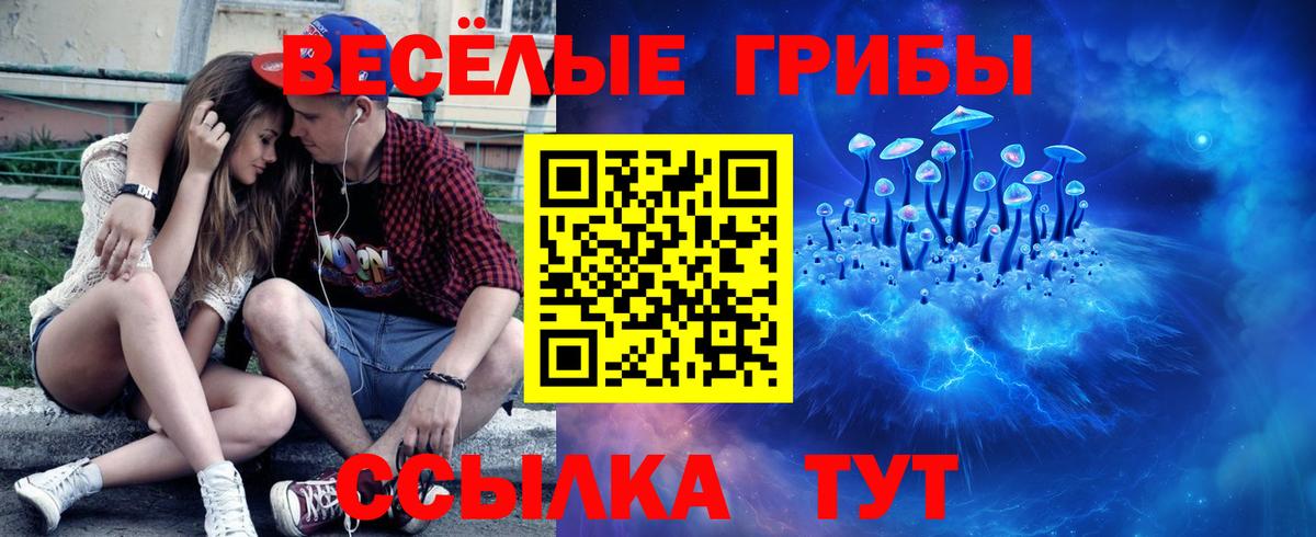 Галлюциногенные грибы MAGIC MUSHROOMS  Вход с VPN  Костомукша 